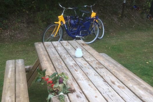 wega-natuurkampeerterrein-weert-camping-makkelik bereikbaar-ns station-ns fietsen-vakantie-midden Limburg-kempenbroek