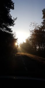 herfst Natuurkampeerterrein Wega Weert