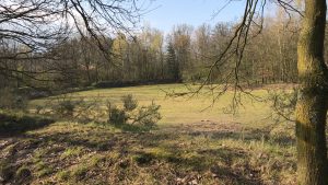Natuurkampeerterrein Wega, Weert