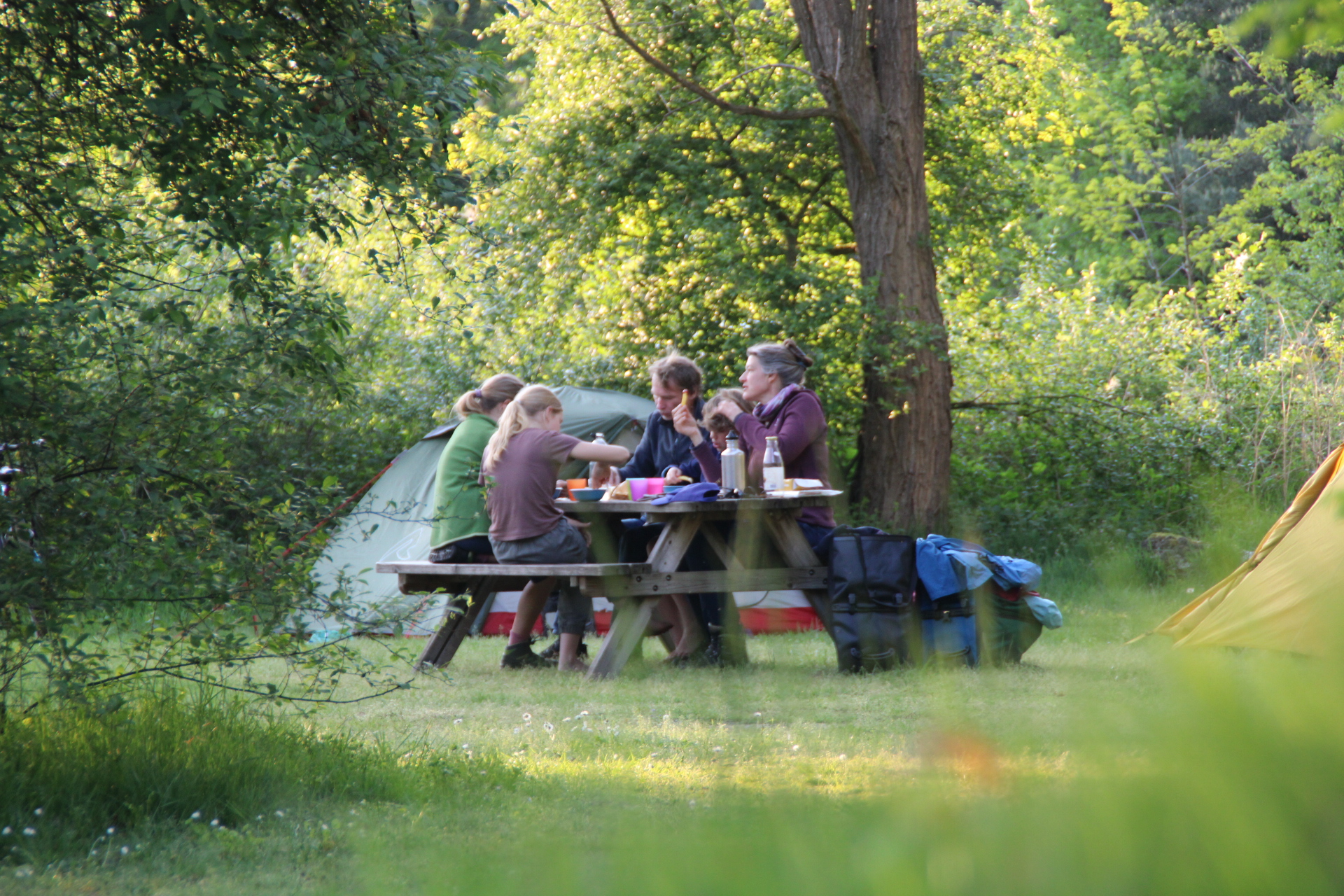 Wegaland Scibling Ride ZOMERVAKANTIE 2025! | Natuurkampeerterrein Wega
